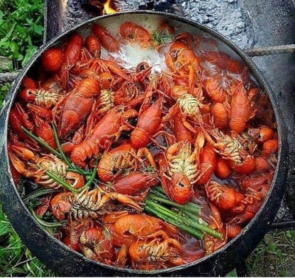 Сдам Гостевой Дом посуточно в Тучково — фото 10